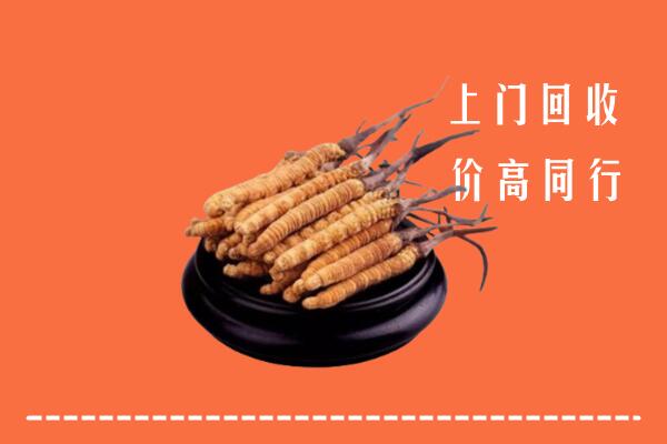 附近收购：宜宾市高县区冬虫夏草回收多少钱每克